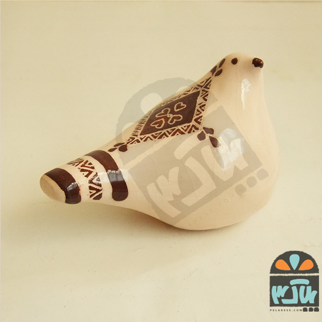 پرنده زاغه