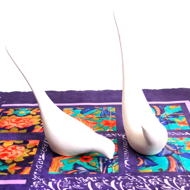 پرنده های بهشتی