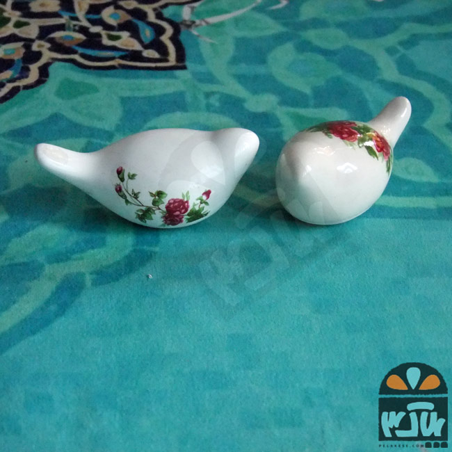 یک جفت پرنده کوچک گل سرخی
