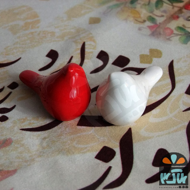 پرنده جفت پرواز