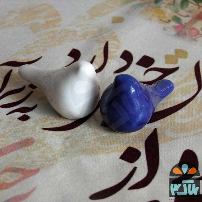 پرنده جفت دوستی 