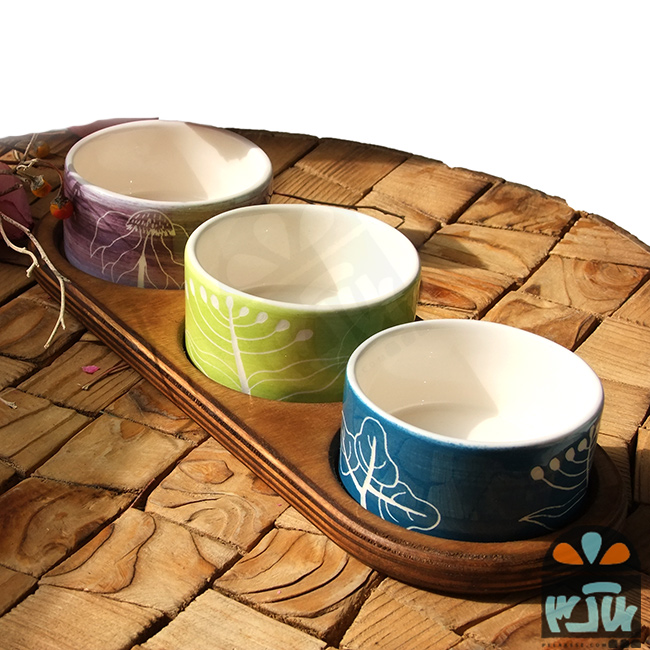ست پذیرایی شاندیز