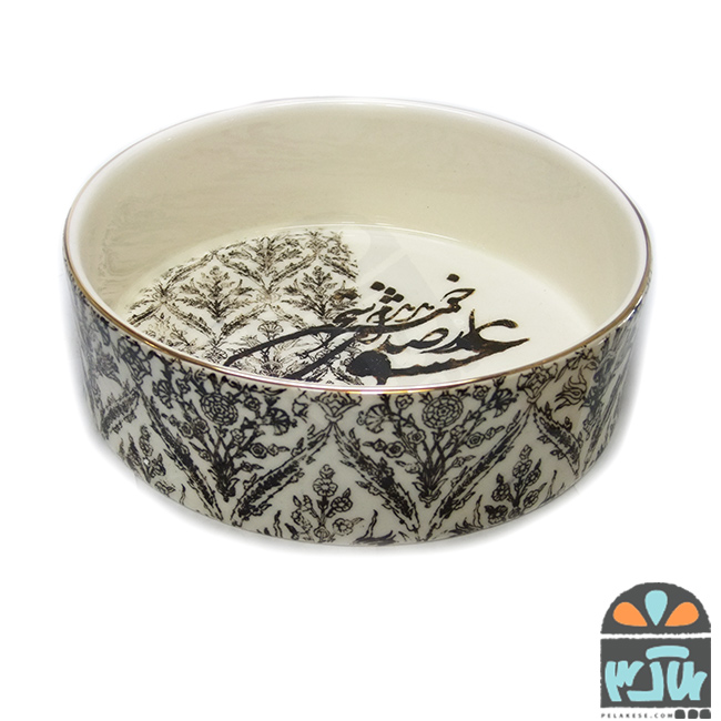 کاسه بزرگ گنبد دوار